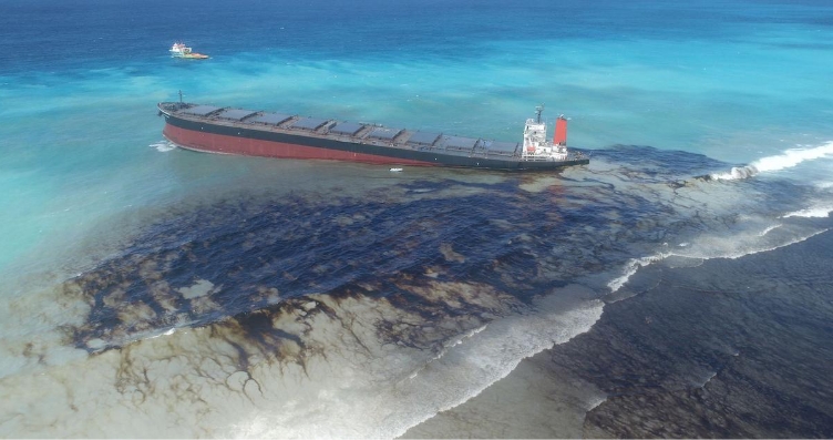 A Community Based Approach To Mitigating Environmental Disasters: The Mauritius Oil Spill.