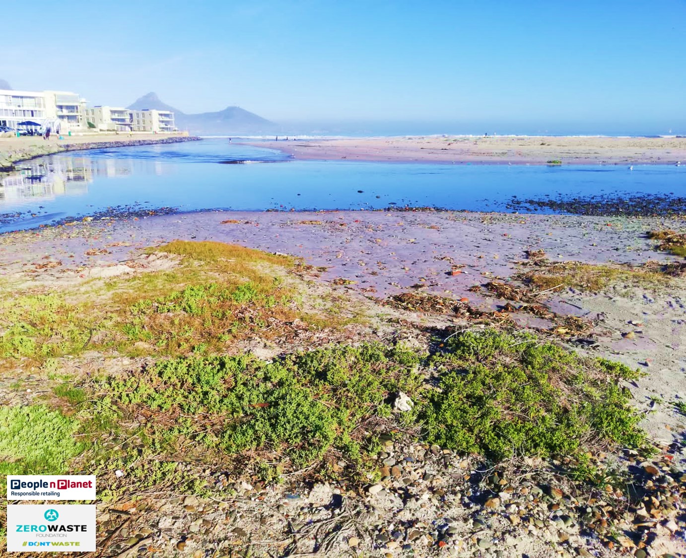 Clean Up at Milnerton Lagoon with PnP People n Planet