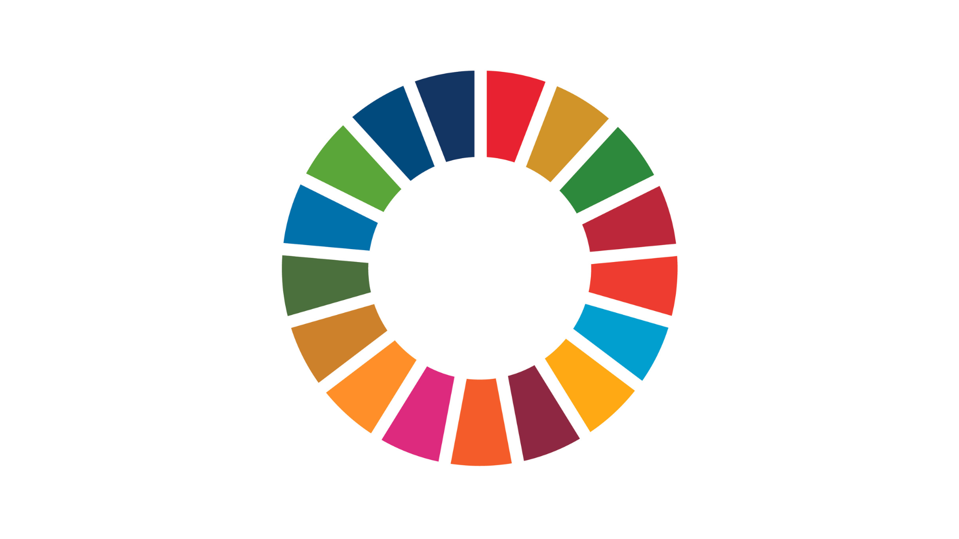 Waste Management Goals and achieving the SDGs