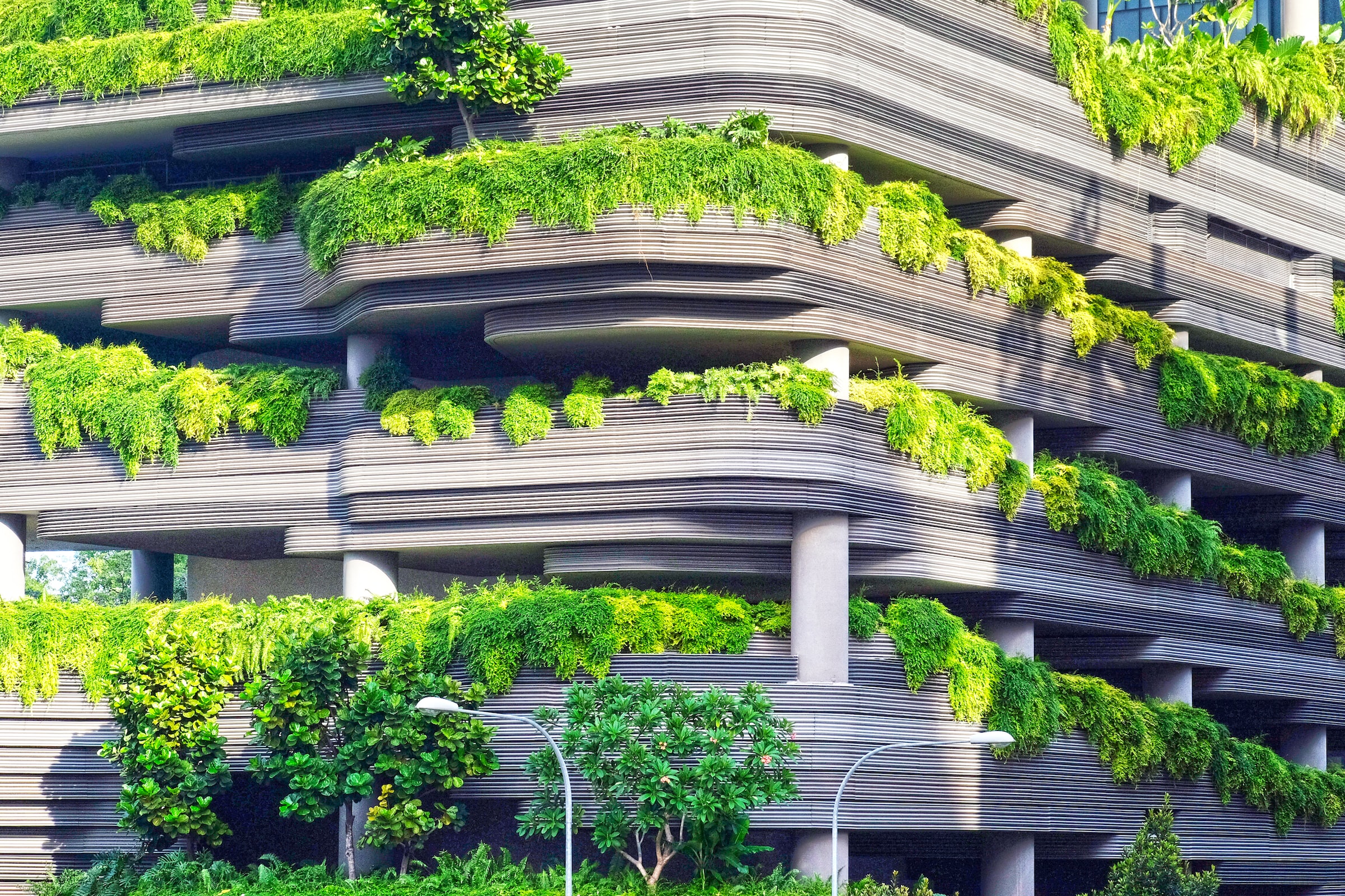 Don’t Waste supports Green Building Ratings